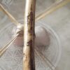 A bamboo stick with some white stuff in it